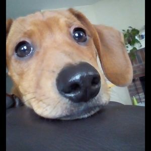 Meet your Posher, Sara